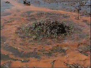 Still image taken from the film shot by local NGO, Centre for Environment, Human Rights and Development (CEHRD). Still image that shows the aftermath and continuing problems of oil spill from pipeline operated by multinational corporation Shell in Bodo City, Gokana, Rivers State, Nigeria. On 28 August 2008 a fault in the Trans-Niger pipeline resulted in a significant oil spill into Bodo Creek in Ogoniland.7 The oil poured into the swamp and creek for weeks, covering the area in a thick slick of oil and killing the fish that people depend on for food and for their livelihood. Cross reference with video on ADAM - ID: 142052
