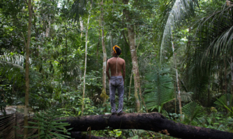 Brasil: Riesgo de derramamiento de sangre en la Amazonía a menos que el gobierno proteja a los pueblos indígenas de las confiscaciones de tierras y extracción maderera ilegales