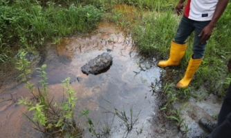 Nigeria: Pese a la desinversión, Shell sigue siendo responsable de limpiar y reparar la contaminación histórica por petróleo