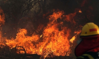 Bolivia: Gobierno debe suspender decreto presidencial e investigar causas de incendios forestales