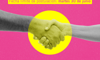 Amnistía Internacional Chile busca pasante para unirse al equipo de Crecimiento